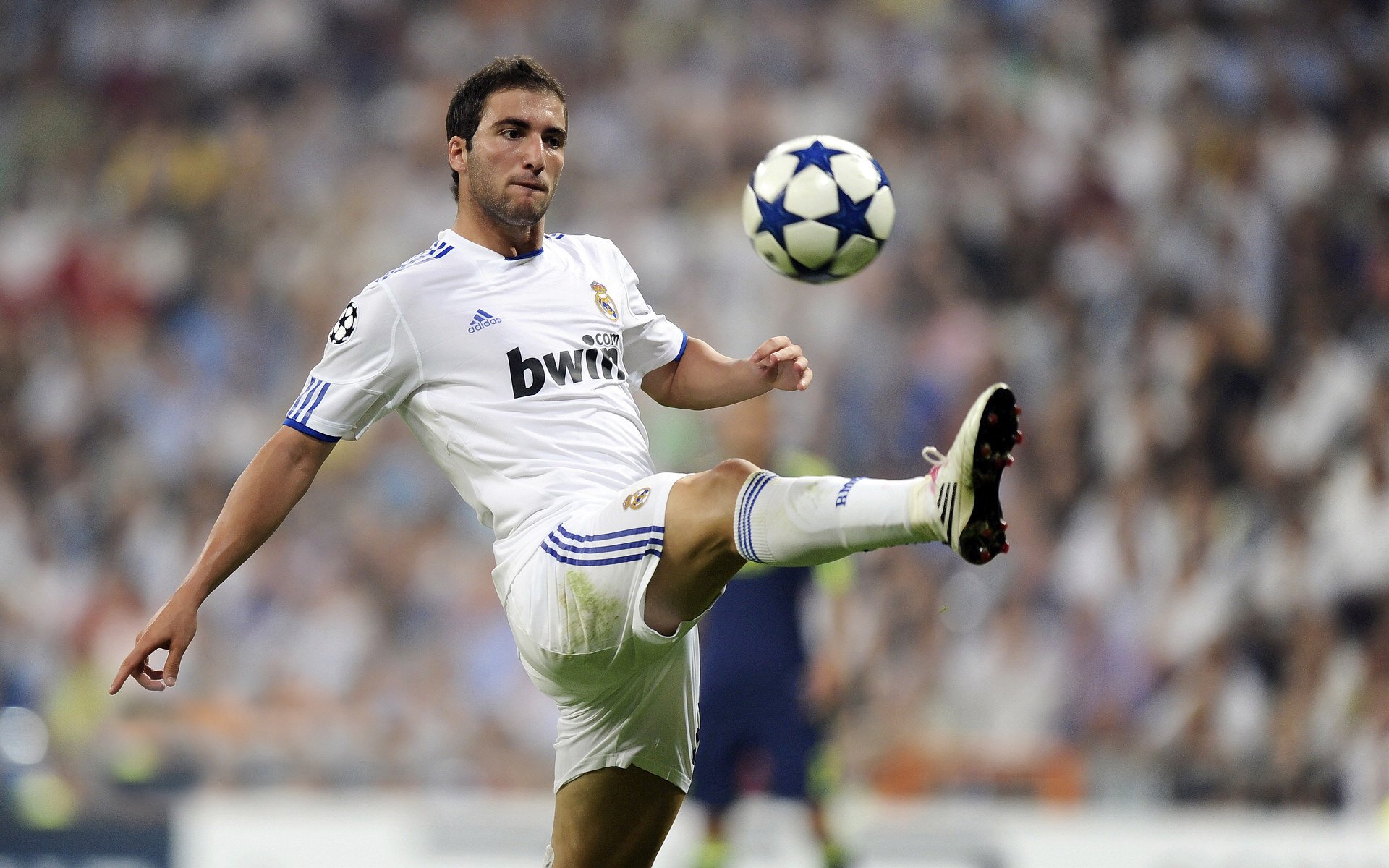 开云体育入口-芬兰爆冷突尼斯，布鲁诺，那个在极光与沙暴之间起舞的关键先生